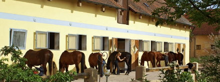 Der ZWIEFELHOF im malerischen franäkischen Seenland - unmittelbar am Rothsee